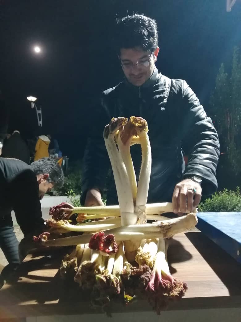 دومین جشنواره ریواس و سبزی‌های محلی در کوهسرخ برگزار شد